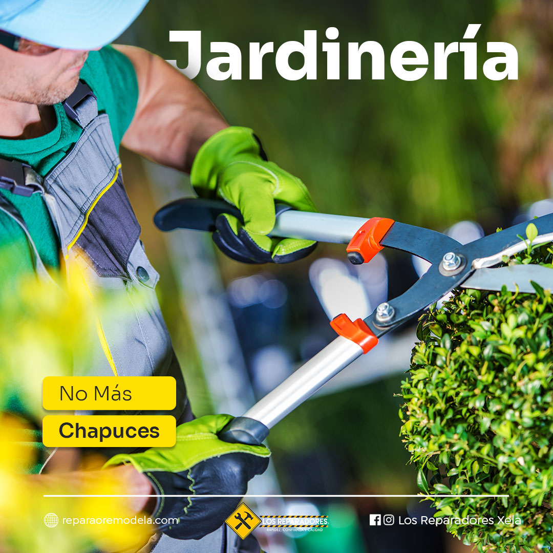Jardinería: mantenimiento y mejoras exteriores